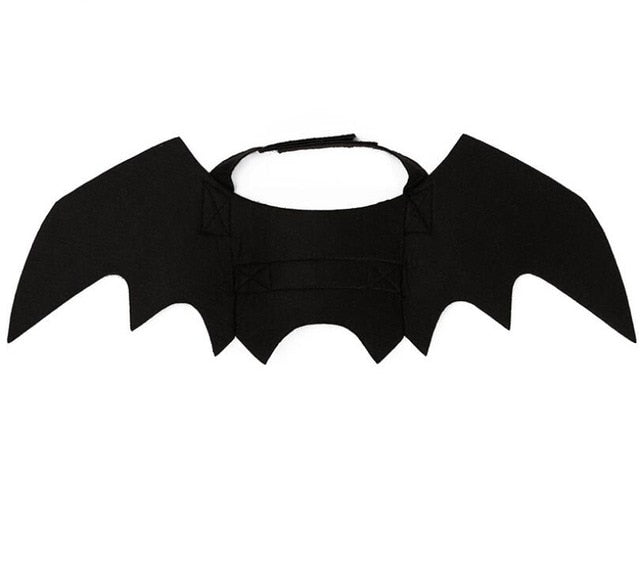Halloween Cat Bat Wings Costume with 2 Pcs Pumpkin Bells - Abound Pet Supplies