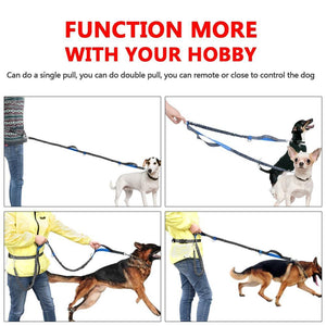 Hands Free Dog Leash with Dual Handle Pet Leads - Abound Pet Supplies