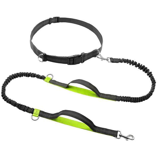 Hands Free Dog Leash with Dual Handle Pet Leads - Abound Pet Supplies