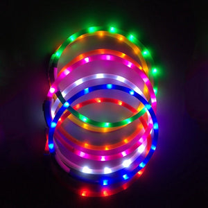 LED USB Rechargeable Dog Collar - Abound Pet Supplies
