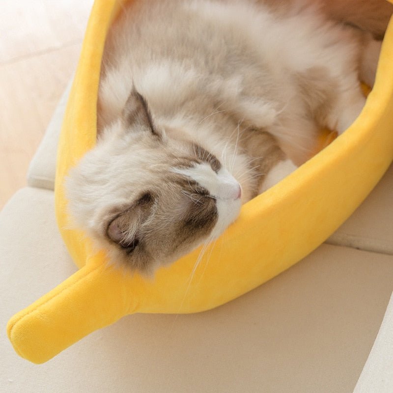 Novelty Banana Cat Bed - Abound Pet Supplies