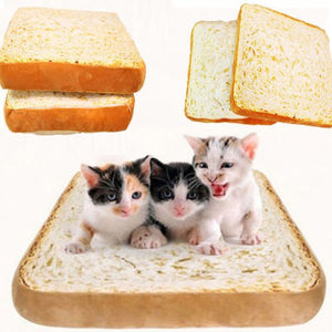 Novelty Cat Toast Bread Bed - Abound Pet Supplies