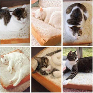 Novelty Cat Toast Bread Bed - Abound Pet Supplies