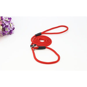 Coolfield Nylon Dog Leash – Adjustable, Durable, and Tangle-Free Leash for Small, Medium, and Large Dogs – Slip Lead Collar for Training and Walks, Comfortable Loop Handle for Optimal Control, Made from Tear-Resistant Nylon for Long-Lasting Use