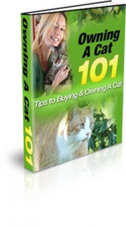 Owning a Cat 101 guidebook with expert advice on cat care, behavior, nutrition, grooming, and creating a safe environment; essential resource for new and experienced cat owners.