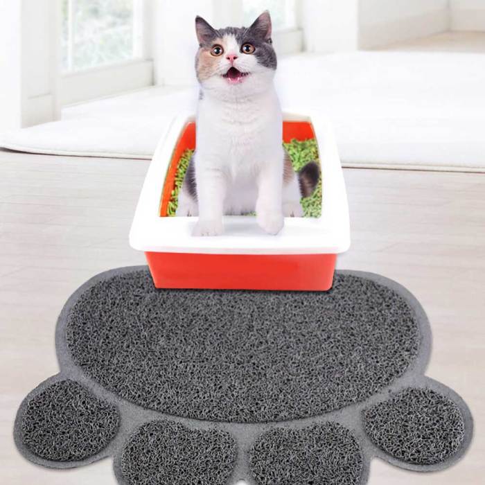 Paw-Shaped Large Cat Litter Mat - Abound Pet Supplies