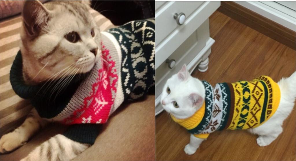 Petalk Snowflake Sphinx Cat Sweater - Abound Pet Supplies