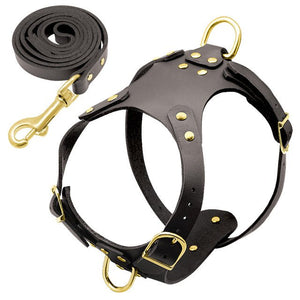 Pit Bull Dog Harness & Leash Set - Abound Pet Supplies