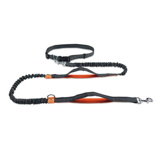 Premium Quality Hands Free Dog Leash w/Adjustable Waist Belt - Abound Pet Supplies