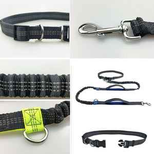 Premium Quality Hands Free Dog Leash w/Adjustable Waist Belt - Abound Pet Supplies
