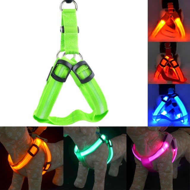 Rechargeable LED Nylon Dog Harness - Abound Pet Supplies