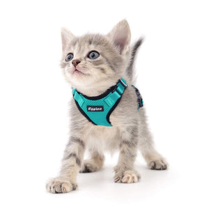 Reflective Cat Harness & Leash Set - Abound Pet Supplies