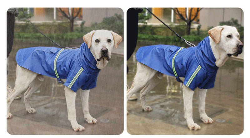 Reflective Raincoat for Small, Medium & Large Dogs - Abound Pet Supplies