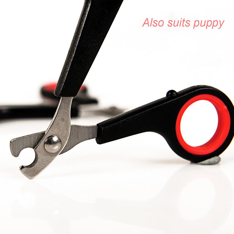 Small Pet Nail Scissors - Abound Pet Supplies