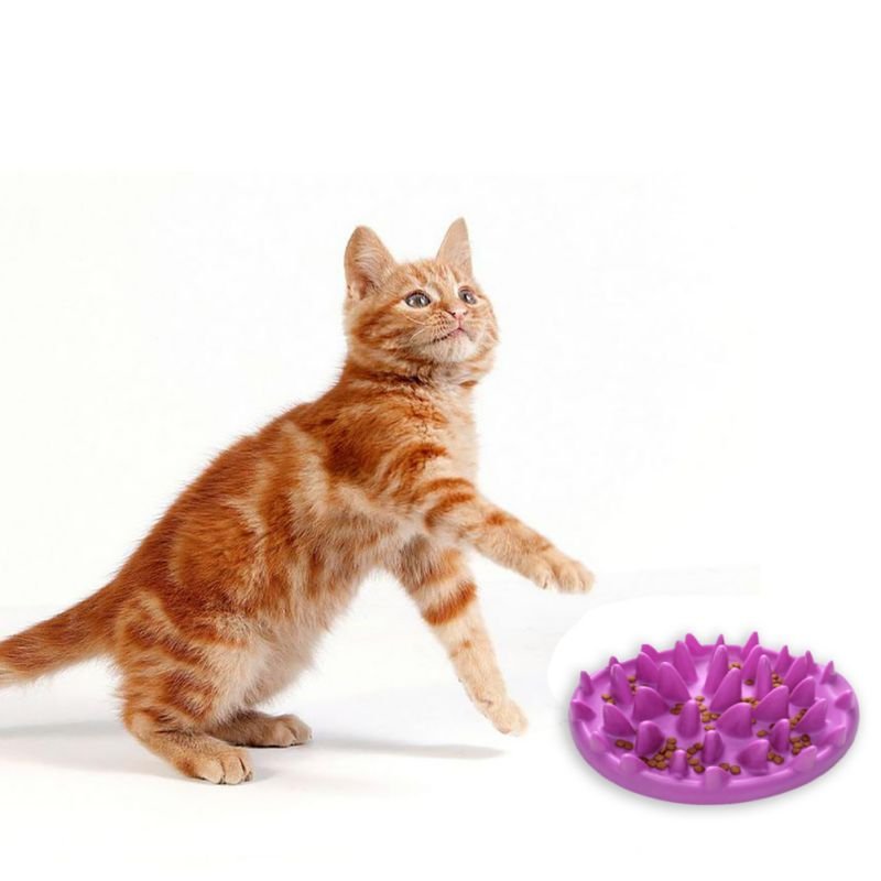 TAILUP Slow Feeder Dog and Cat Bowl - Abound Pet Supplies