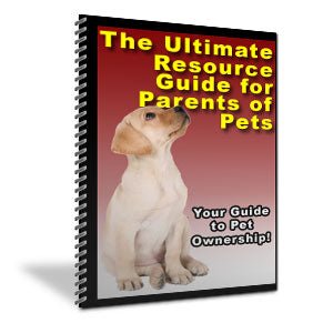 pet parents guide
