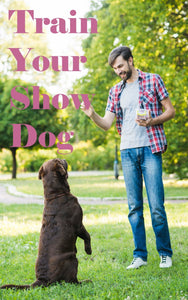 how to train a show dog