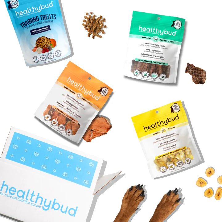 Reinforcement Snacks Dog Treats for Training | Training Bundle – Abound Pet Supplies