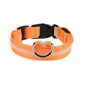 Vieruodis LED Light Nylon Collar for Cats - Abound Pet Supplies