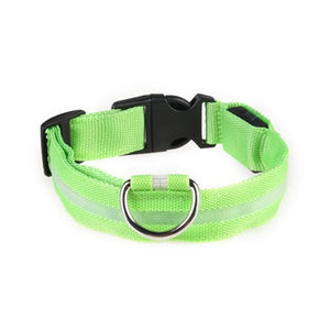 Vieruodis LED Light Nylon Collar for Cats - Abound Pet Supplies
