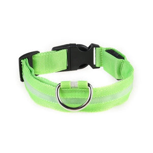 Vieruodis LED Cat Collar - Waterproof, Adjustable Light-Up Collar for Nighttime Visibility and Cat Safety | Bright LED nylon collar with Velcro closure, designed to keep cats visible and safe in low-light conditions. Perfect for outdoor adventures and nighttime walks, with an adjustable fit for all cat sizes.